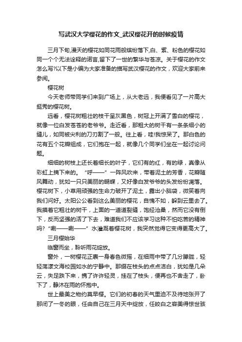 写武汉大学樱花的作文_武汉樱花开的时候疫情