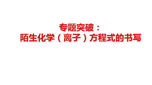 2023届高三化学高考备考复习专题突破：陌生方程式的书写课件