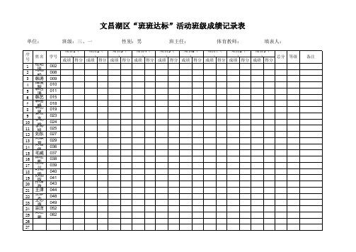 3班班达标班级成绩记录表