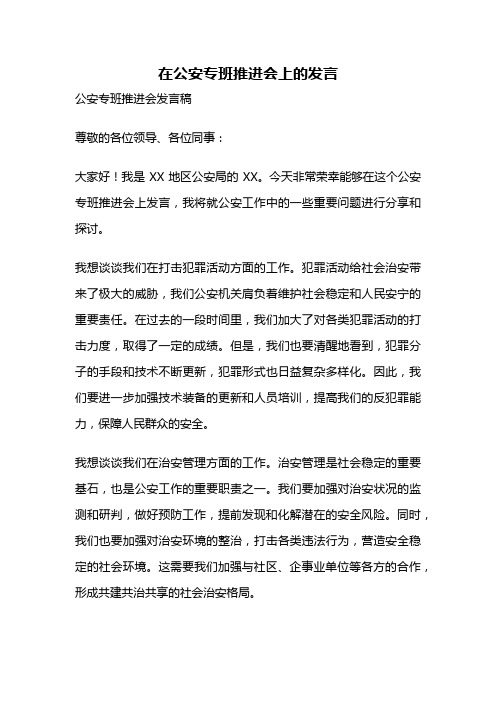 在公安专班推进会上的发言