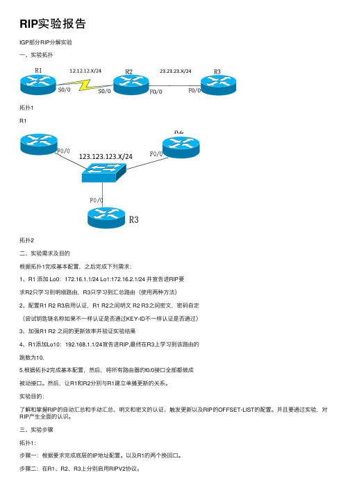 RIP实验报告