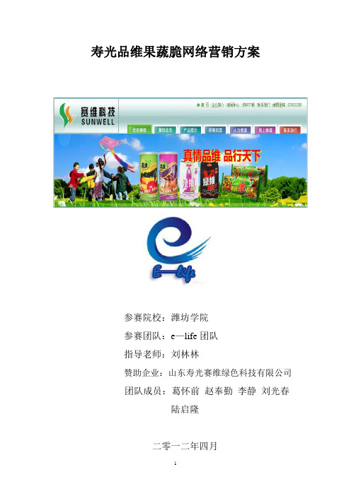 果蔬脆网络营销方案