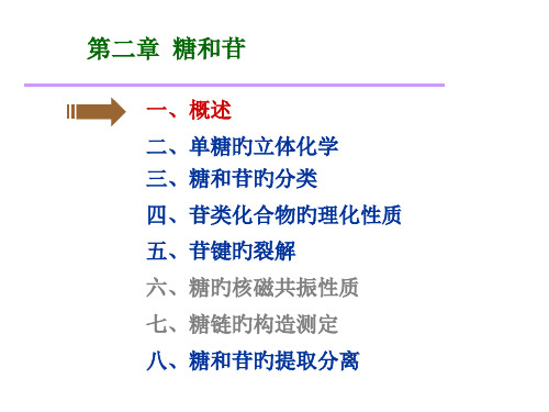 糖和苷专题知识讲座