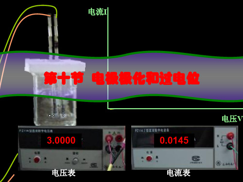 电极极化