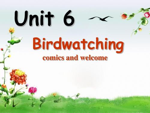 牛津译林英语八上《Unit6 Birdwatching_comics and welcome》(共44张PPT)