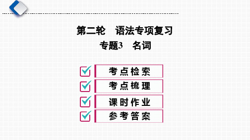 湖南长沙市中考英语二轮语法专项复习专题3 名词