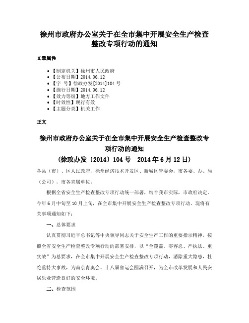 徐州市政府办公室关于在全市集中开展安全生产检查整改专项行动的通知