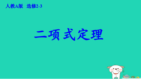 高中数学选修1.3.1二项式定理人教版ppt课件