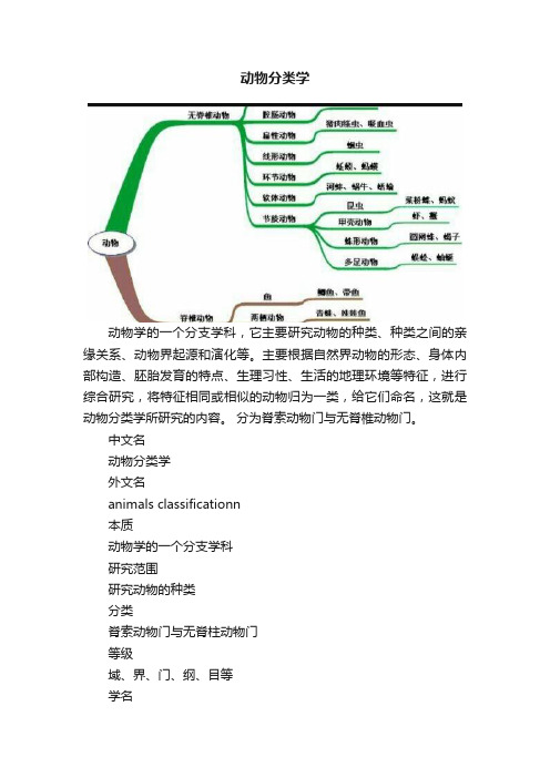 动物分类学