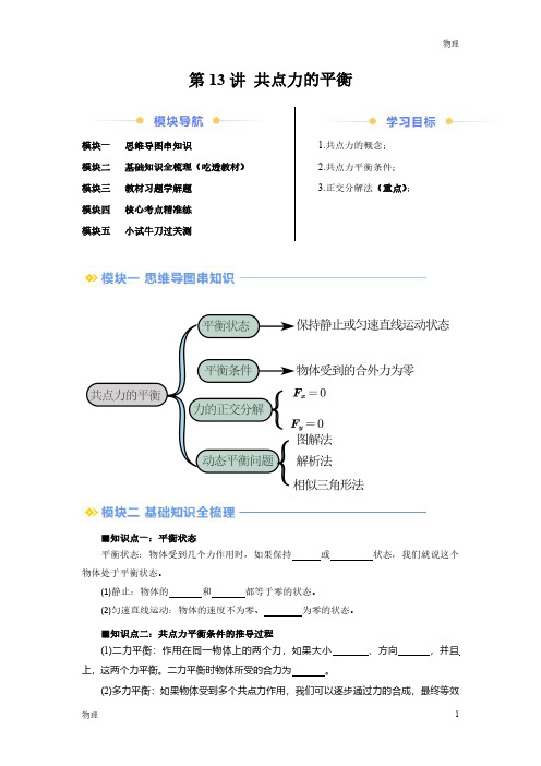 2024年新高一物理初升高衔接《共点力的平衡》含答案解析