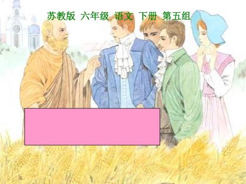 苏教版六年级下册语文《最大的麦穗》课件PPT