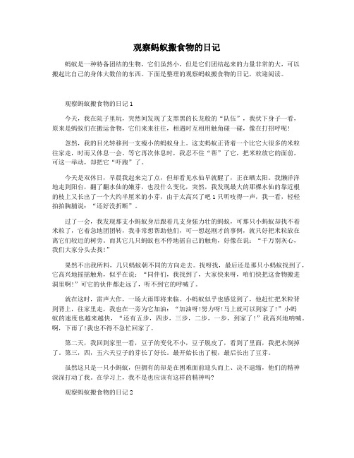 观察蚂蚁搬食物的日记