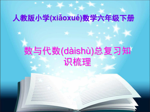 最新(苏教版)六年级数学下册六年级数与代数总复习课件(新)精品课件