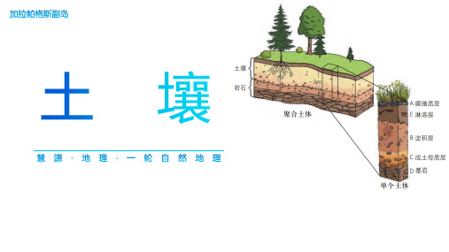 2024届高考地理一轮复习+课件+土壤