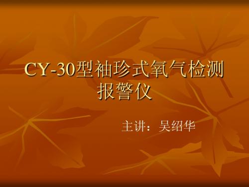 cy-30型袖珍式氧气检测报警仪