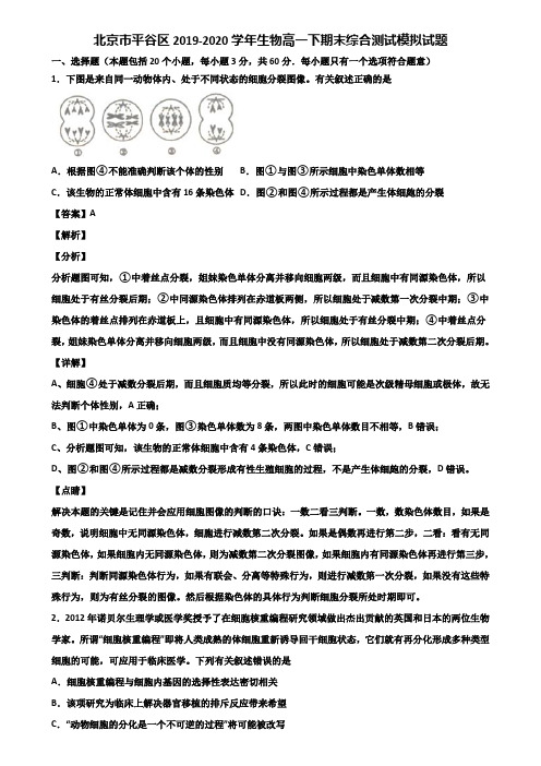 北京市平谷区2019-2020学年生物高一下期末综合测试模拟试题含解析