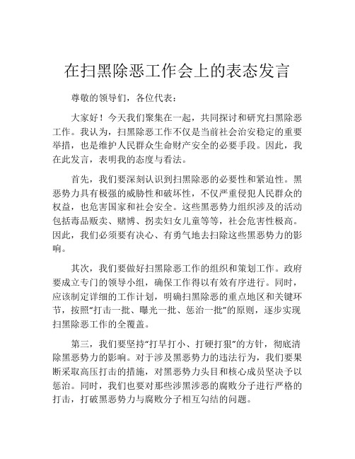 在扫黑除恶工作会上的表态发言