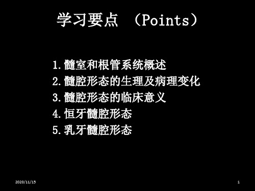 牙体解剖学：牙髓腔解剖各论