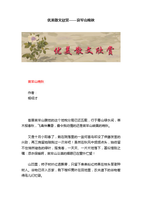 优美散文欣赏——哀牢山晚秋