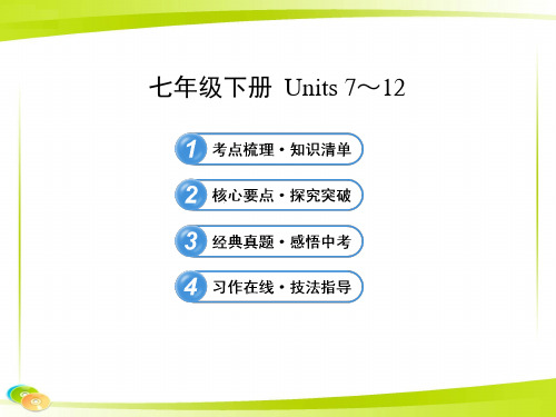 初中七年级下册 英语7-12单元复习教案