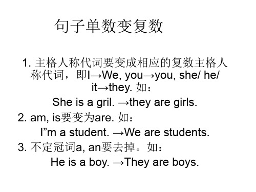 句子单数变复数