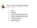 原核与真核生物的染色体结构PPT课件