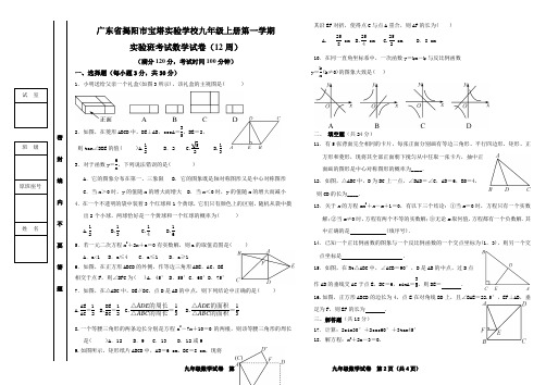 广东省揭西县宝塔实验学校2018-2019学年度九年级上册数学实验班第十二周考试试卷