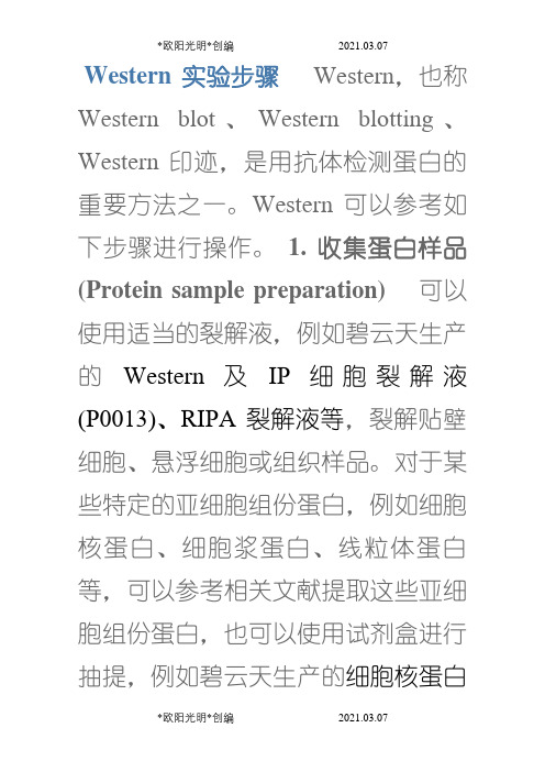 2021年WB实验步骤详解