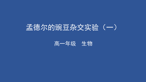 《孟德尔的豌豆杂交实验(一)》人教版完美PPT