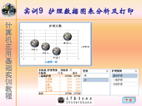 实训9护理数据图表分析及打印