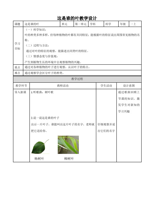 教科版《这是谁的叶》教案实用版1