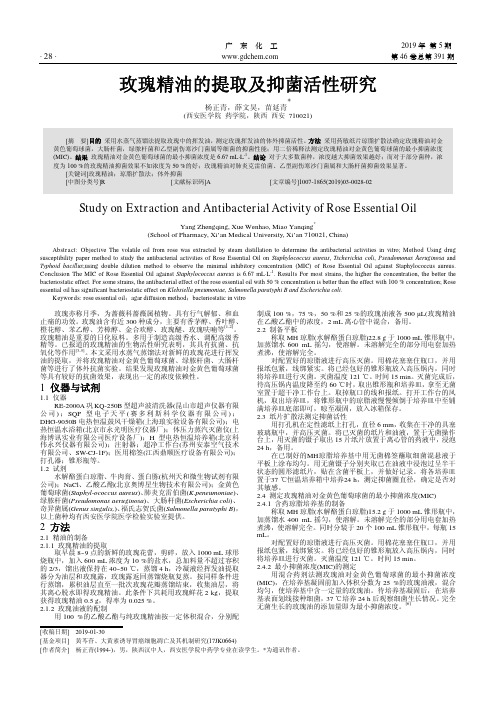 玫瑰精油的提取及抑菌活性研究