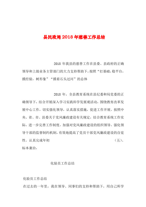 2019年整理--县民政局2018年慈善工作总结