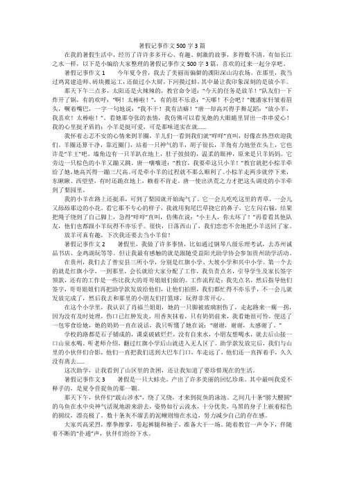 暑假记事作文500字3篇