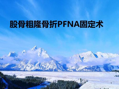 股骨粗隆骨折FNA固定术 PPT课件