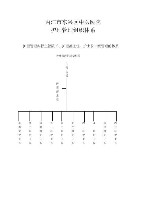 护理管理组织体系架构图