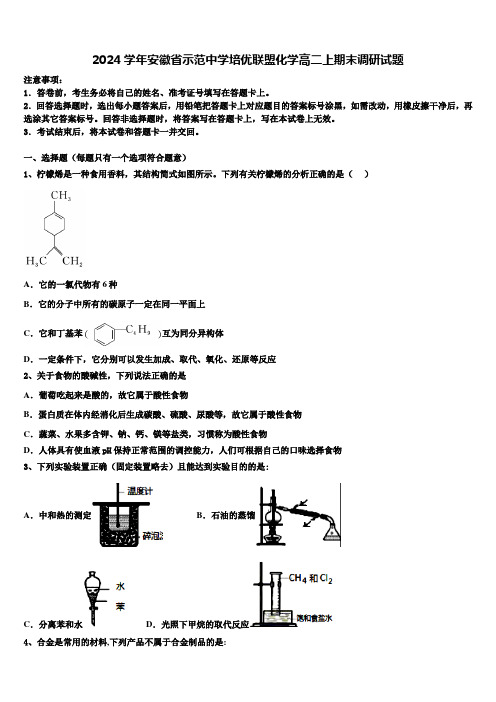 2024学年安徽省示范中学培优联盟化学高二上期末调研试题含解析