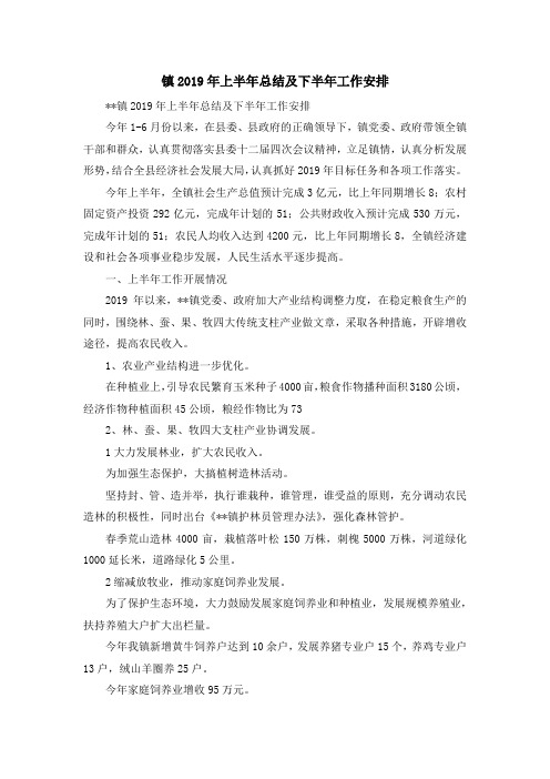 工作总结-镇2019年上半年总结及下半年工作安排 精品