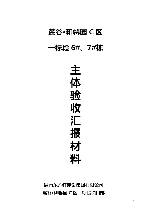 C区6、7栋主体汇报材料