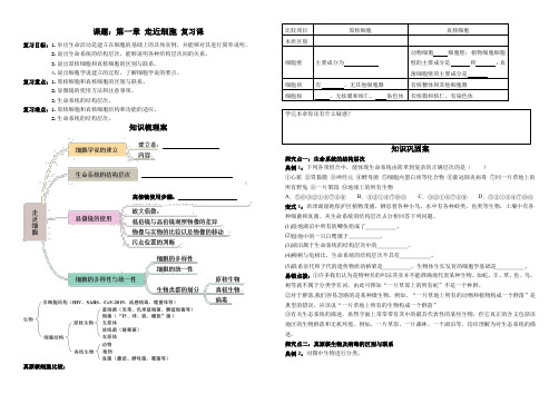 第一章走近细胞复习课学案高一上学期生物人教版必修1