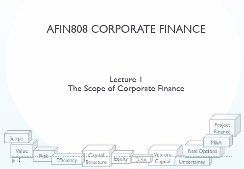 Principle of Corporate Finance Chapter 1