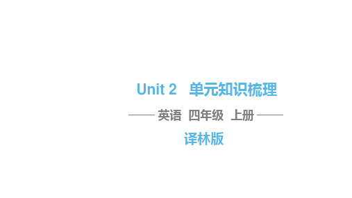 四年级上册英语习题课件-Unit 2 Let's make a fruit salad 单元知识梳理 语法课堂译林版(三起)