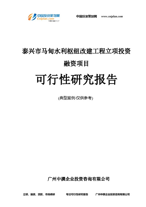 泰兴市马甸水利枢纽改建工程融资投资立项项目可行性研究报告(非常详细)