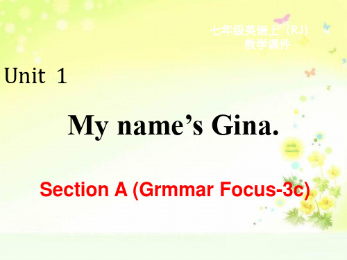 人教版七上英语一单元Unit 1 Section A (Grammar Focus-3c)PPT课件