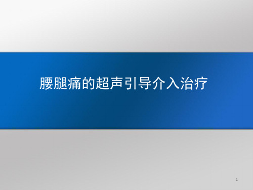 腰腿痛的超声引导介入治疗PPT课件