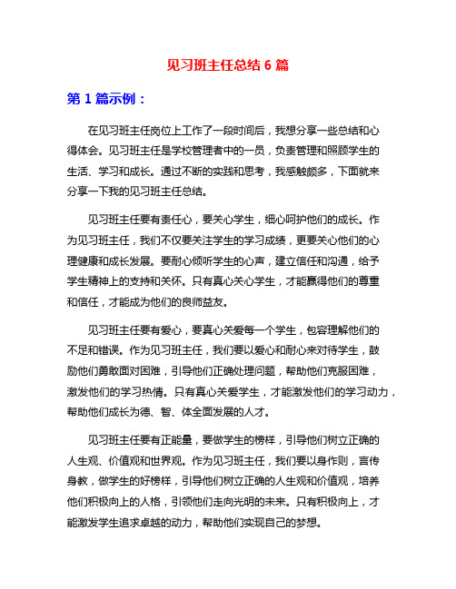 见习班主任总结6篇