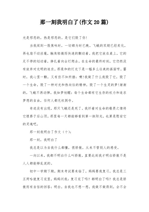 那一刻我明白了(作文20篇)