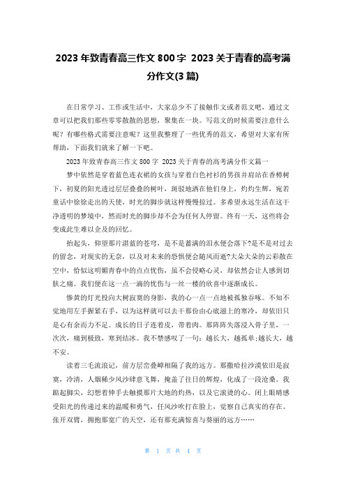 2023年致青春高三作文800字 2023关于青春的高考满分作文(3篇)