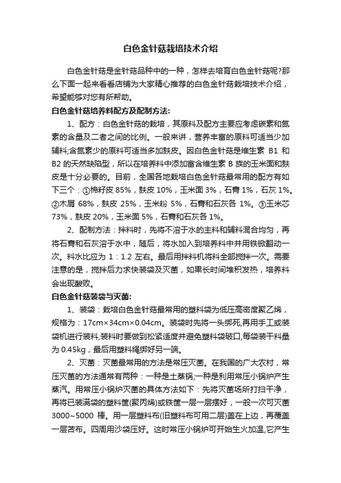 白色金针菇栽培技术介绍