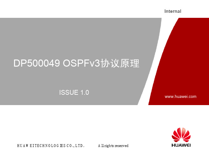 OSPFv3协议原理